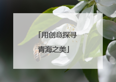 用创意探寻青海之美
