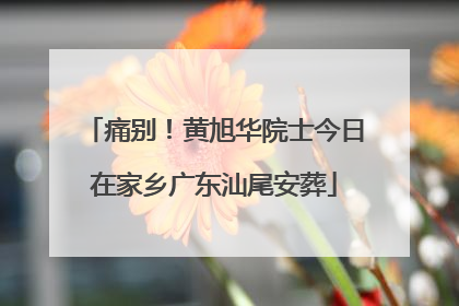 痛别！黄旭华院士今日在家乡广东汕尾安葬