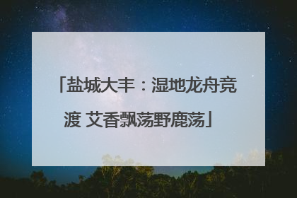 盐城大丰：湿地龙舟竞渡 艾香飘荡野鹿荡