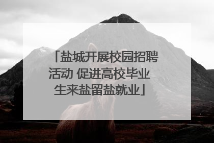 盐城开展校园招聘活动 促进高校毕业生来盐留盐就业