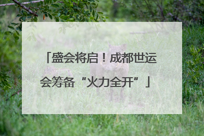 盛会将启！成都世运会筹备“火力全开”