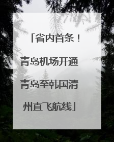 省内首条！青岛机场开通青岛至韩国清州直飞航线