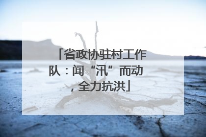 省政协驻村工作队：闻“汛”而动，全力抗洪