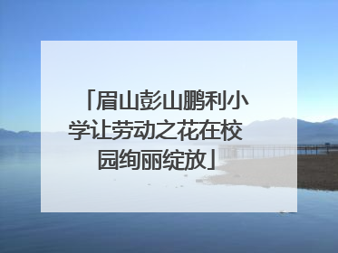 眉山彭山鹏利小学让劳动之花在校园绚丽绽放