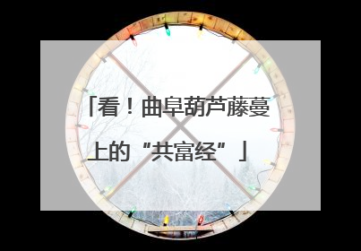 看！曲阜葫芦藤蔓上的“共富经”