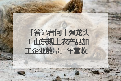 答记者问｜强龙头！山东规上农产品加工企业数量、年营收均居全国首位