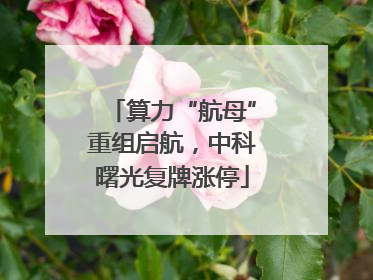 算力“航母”重组启航，中科曙光复牌涨停