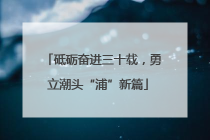 砥砺奋进三十载，勇立潮头“浦”新篇