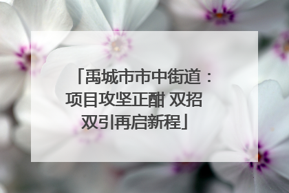 禹城市市中街道：项目攻坚正酣 双招双引再启新程