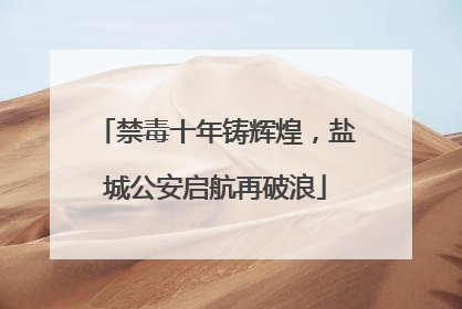 禁毒十年铸辉煌，盐城公安启航再破浪
