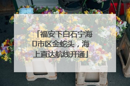 福安下白石宁海⇆市区金蛇头，海上直达航线开通