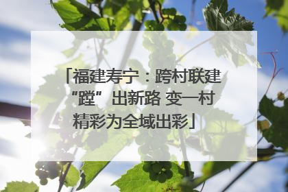 福建寿宁：跨村联建“蹚”出新路 变一村精彩为全域出彩