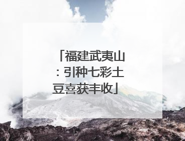 福建武夷山：引种七彩土豆喜获丰收