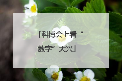 科博会上看“数字”大兴