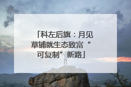 科左后旗：月见草铺就生态致富“可复制”新路