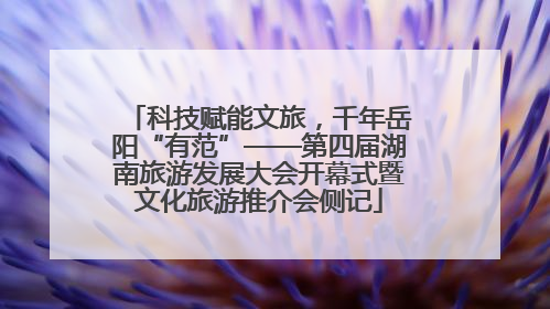 科技赋能文旅，千年岳阳“有范”——第四届湖南旅游发展大会开幕式暨文化旅游推介会侧记