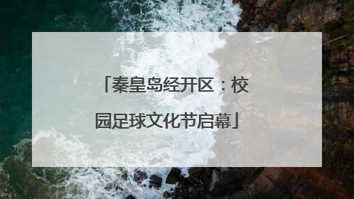 秦皇岛经开区：校园足球文化节启幕