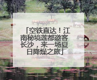 空铁直达！江南秘境莲都邀客长沙，来一场夏日降燥之旅