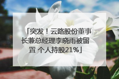 突发！云路股份董事长兼总经理李晓雨被留置 个人持股21%