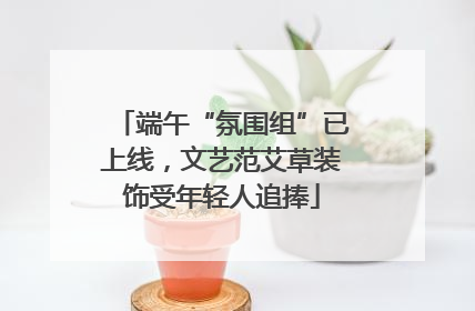端午“氛围组”已上线，文艺范艾草装饰受年轻人追捧