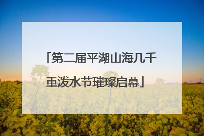 第二届平湖山海几千重泼水节璀璨启幕