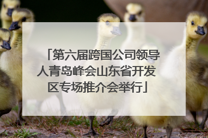 第六届跨国公司领导人青岛峰会山东省开发区专场推介会举行