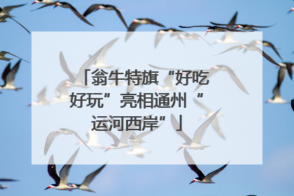 翁牛特旗“好吃好玩”亮相通州“运河西岸”