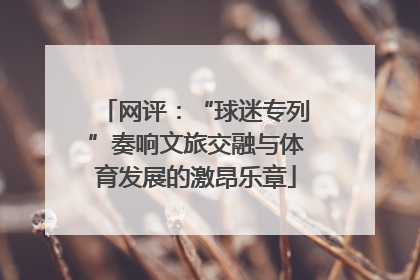 网评：“球迷专列”奏响文旅交融与体育发展的激昂乐章
