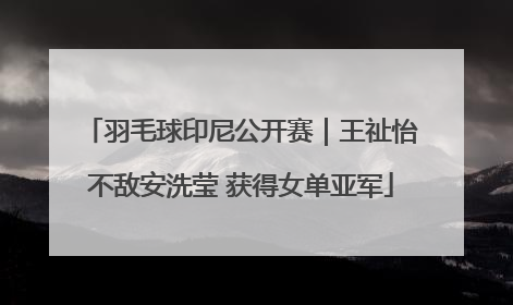羽毛球印尼公开赛｜王祉怡不敌安洗莹 获得女单亚军