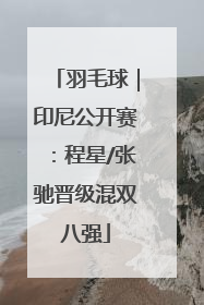 羽毛球｜印尼公开赛：程星/张驰晋级混双八强