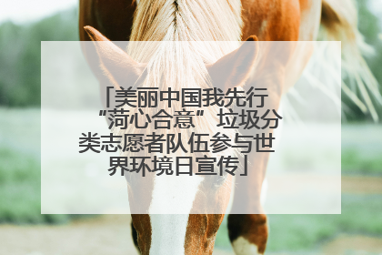 美丽中国我先行 “菏心合意”垃圾分类志愿者队伍参与世界环境日宣传