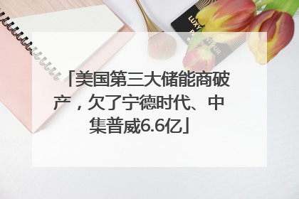 美国第三大储能商破产，欠了宁德时代、中集普威6.6亿