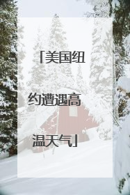 美国纽约遭遇高温天气