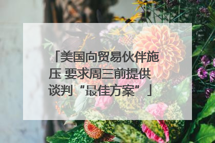 美国向贸易伙伴施压 要求周三前提供谈判“最佳方案”