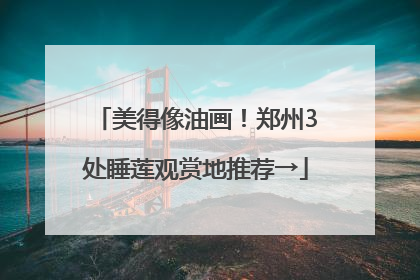美得像油画！郑州3处睡莲观赏地推荐→