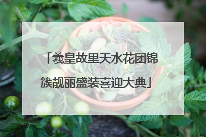 羲皇故里天水花团锦簇靓丽盛装喜迎大典