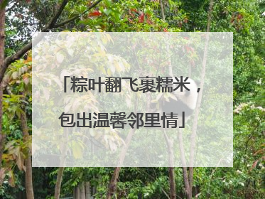 粽叶翻飞裹糯米，包出温馨邻里情