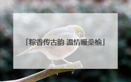 粽香传古韵 温情暖桑榆