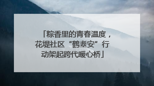 粽香里的青春温度，花堤社区“鹤耋安”行动架起跨代暖心桥