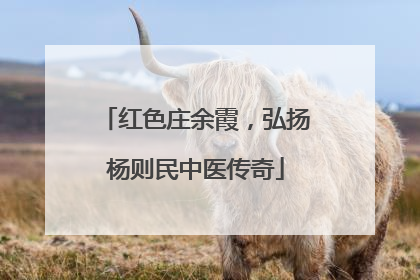 红色庄余霞，弘扬杨则民中医传奇