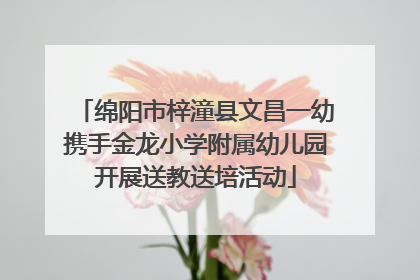 绵阳市梓潼县文昌一幼携手金龙小学附属幼儿园开展送教送培活动