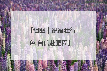 组图｜祝福壮行色 自信赴鹏程