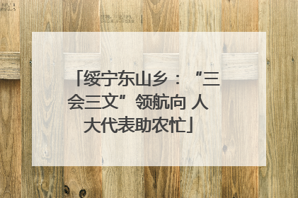 绥宁东山乡：“三会三文”领航向 人大代表助农忙