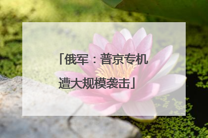 俄军：普京专机遭大规模袭击