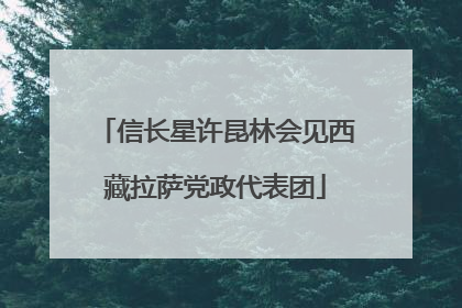 信长星许昆林会见西藏拉萨党政代表团