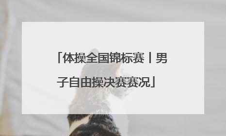 体操全国锦标赛丨男子自由操决赛赛况