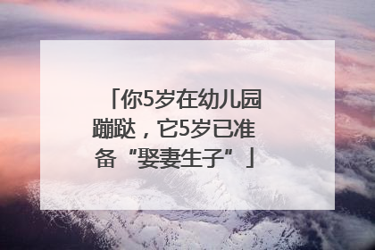 你5岁在幼儿园蹦跶，它5岁已准备“娶妻生子”