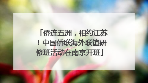 侨连五洲，相约江苏！中国侨联海外联谊研修班活动在南京开班