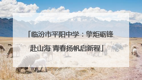 临汾市平阳中学：擎炬砺锋赴山海 青春扬帆启新程
