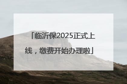 临沂保2025正式上线，缴费开始办理啦